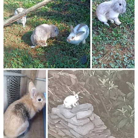 Casa Galletti Busalla