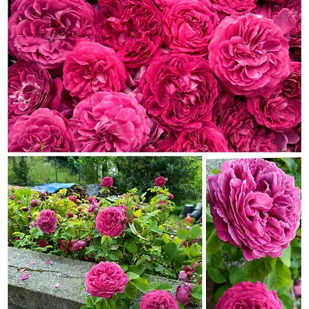 Casa Galletti Busalla